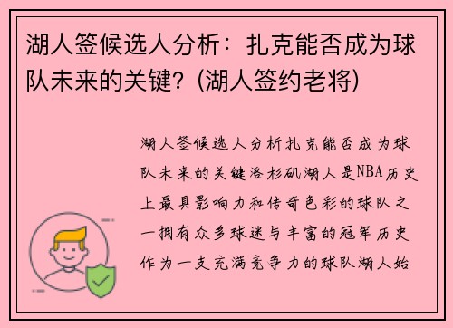 湖人签候选人分析：扎克能否成为球队未来的关键？(湖人签约老将)